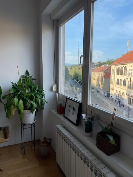 Spacious 3Br/2Bt Apartment With A/C In City Center Zagreb Exterior foto
